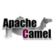 Cursos de Apache Camel en México