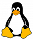 Cursos de Embedded Linux en México