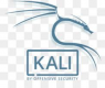 Cursos de Kali Linux en México