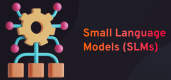 Categoría de Small Language Models (SLMs)