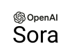 Cursos de Sora en México
